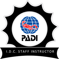 Idc Staff Instructor